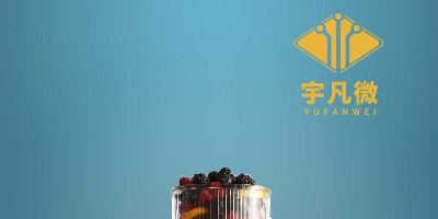 家用迷你果汁杯方案開發(fā)