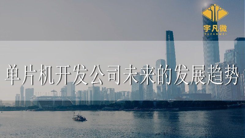 單片機(jī)開發(fā)公司未來的發(fā)展趨勢